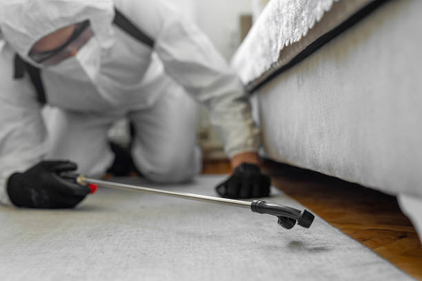 Professional Ant Control technician working in Pecan Grove, TX